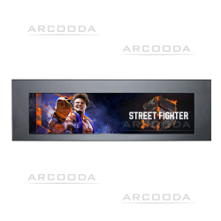 16.6 Monitor panel with Streetfighter 6 header